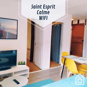 Katalina Lau T3 Au Coeur De Saint Esprit Bayonne